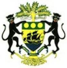 Gabonese Republic Arms